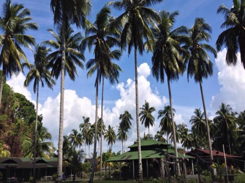 Fishing Bay Resort Mersing Eksteriør bilde